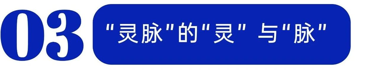 微信图片_20250428194406.jpg